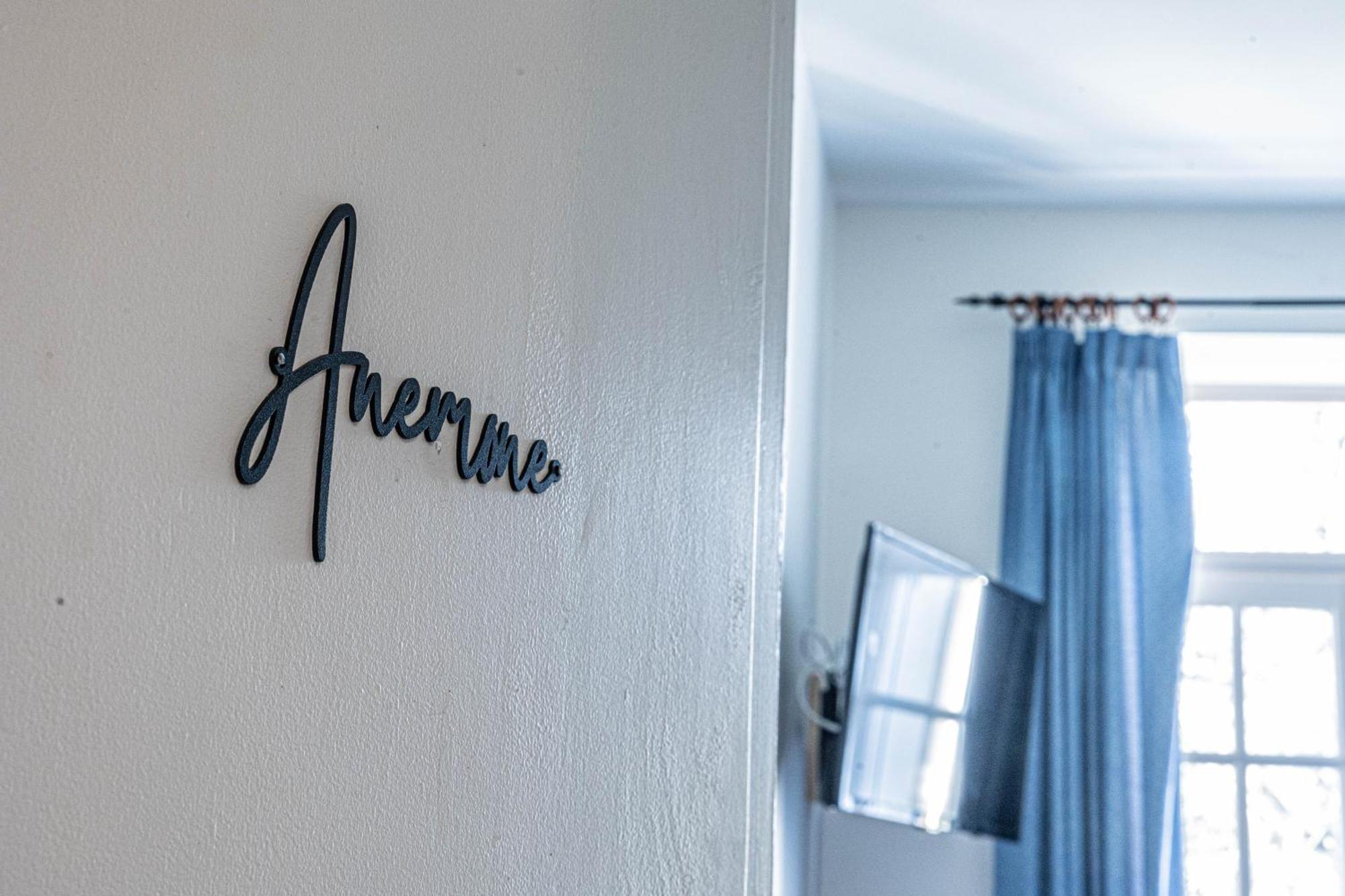 Villa Les Mimosas - 3 Chambres D'Hotes Plassac  エクステリア 写真